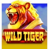 Wild Tiger